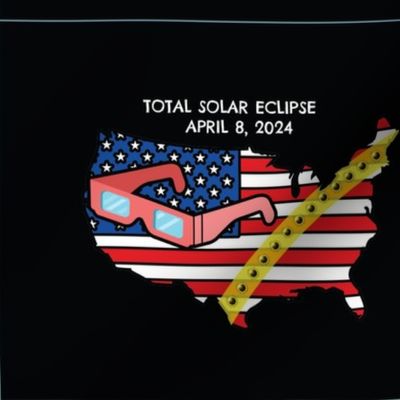 Total Solar Eclipse 2024 - 9.5"x7.5" panel with outlines