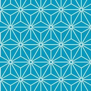 48 Geometric Stars- Japanese Hemp Leaves- Asanoha- Caribbean- Teal- Turquoise Blue- Petal Solids Coordinate- Medium