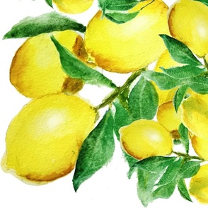 yellow lemon watercolor