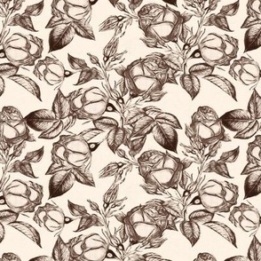 Toile Rose Garden - in Sepia - Coordinate