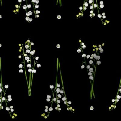 Lily Of The Valley Black and Green
