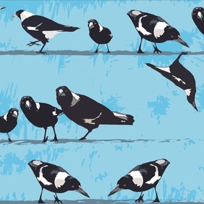  Magpies Birds On Line Modern Animals Black White Blue  - small