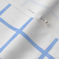 Coastal Blue and White Windowpane Grid - Ditsy Scale - Square Graph Check