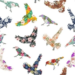 Tropical Floral Birds on White