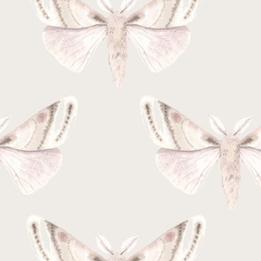 Pink Moths