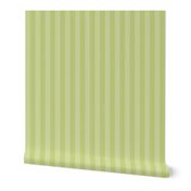 Painted Pinstripe Coordinate in Light Titanite Green