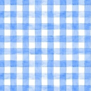 Coastal Blue Watercolor Broad Gingham Plaid  - Ditsy  Scale - Painted Checkers Picnic Country