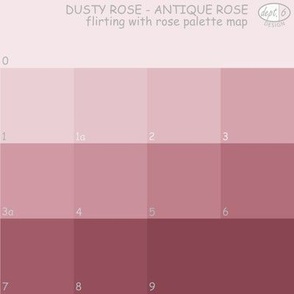 Dusty Rose Color Map: Antique Rose, Flirting with Rose Dept. 6 Design Palette Map