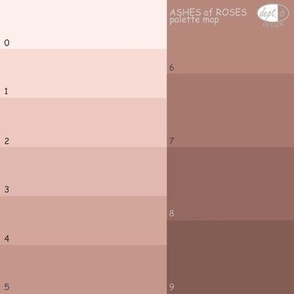 Ashes of Roses Palette Map, Dept. 6 Design Color Map