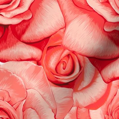 Coral Movie Star Roses Hand Drawn Maximal Pigmented Blooms