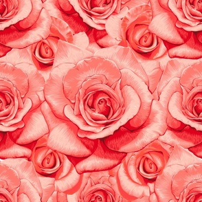 Coral Movie Star Roses Hand Drawn Maximal Pigmented Blooms
