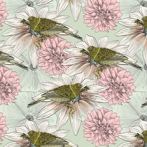 Hand Drawn Sparrow Birds on Pink and White Chrysanthemums and Daisies Nature Floral