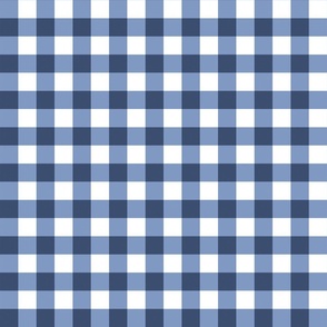 CateandRainn_SummerGarden_Gingham_DarkBlue-12inch