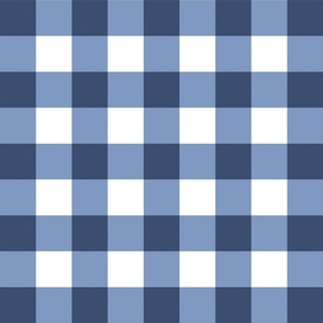 CateandRainn_SummerGarden_Gingham_DarkBlue-24inch