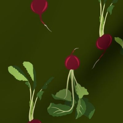 medium - radishes on dark green