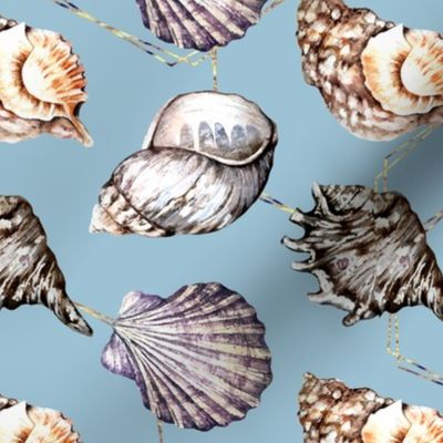 Seashell, nautical, beach pattern