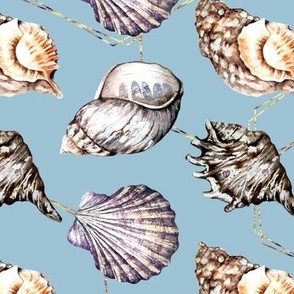 Seashell, nautical, beach pattern