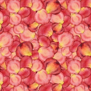 Pigmented Blooms Realism Watercolor High and Magic Rose Petals