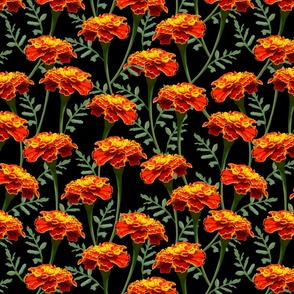Maximalistic French Marigold Pigmented Botanical Blooms with Foliage on Black