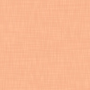 canvas PANTONE 2023 Peach Fuzz