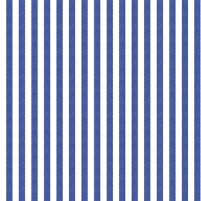 Blue and White Stripes Small Scale