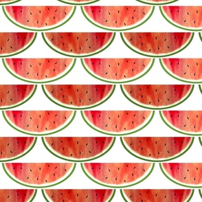 Watermelon Stripes (horizontal) 