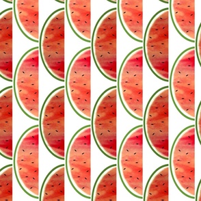 Watermelon Stripes (vertical) 