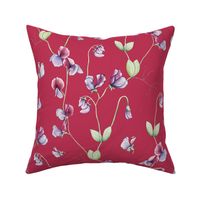 sweetpea pattern on viva magenta background