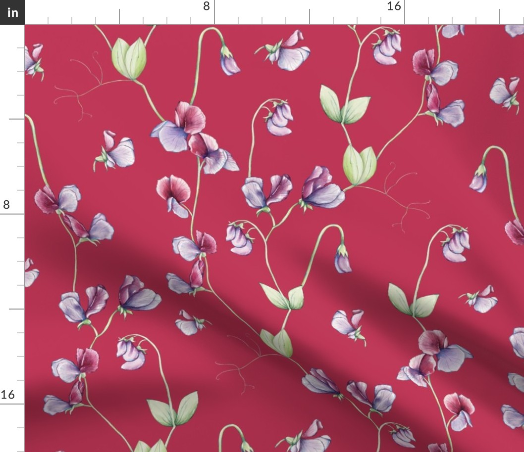 sweetpea pattern on viva magenta background
