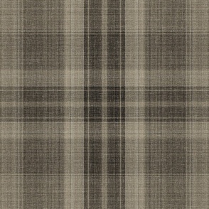 Farmer Brown's Plaid Shirt Textured with Linear Light