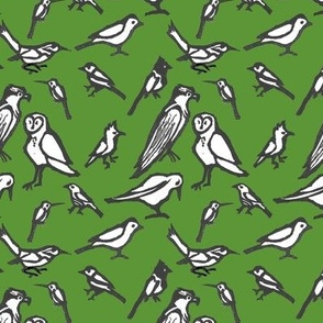 all birds all the time – woodland green