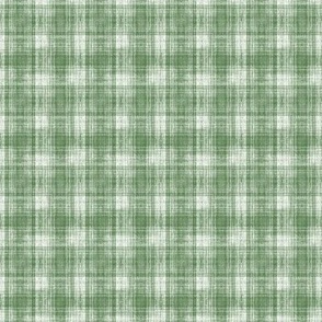 small scale distressed gingham - green