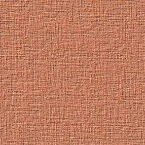 Woven Linen Textured Casual Fun Neutral Interior Monochromatic Orange Blender Earth Tones Raw Sienna Orange Brown CC7A52 Subtle Modern Abstract Geometric