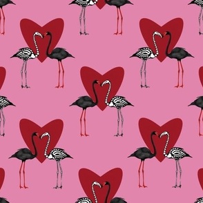 ‘Til death flamingos