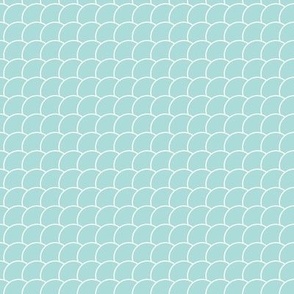 fish scales on teal _ small