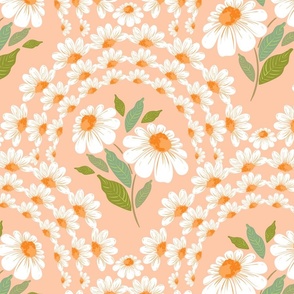 Daisy Arches _Soft Peach
