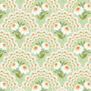Daisy arches_White flowes_ soft green
