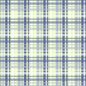 Mandrake plaid Purple and green