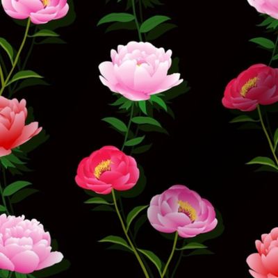 floral  red and pink peony