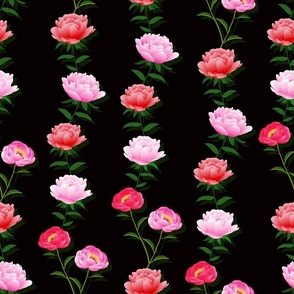 floral  red and pink peony