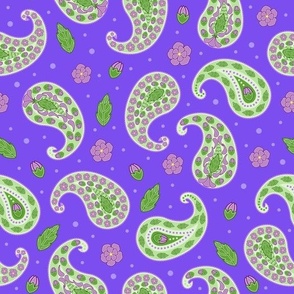paisley  pattern