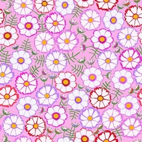 candy cosmos pattern pink
