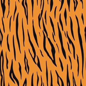 tiger print . tiger stripes. animal print.