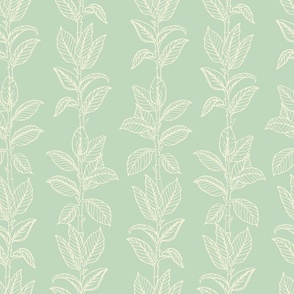Ficus - Pastel Mint (MEDIUM) 