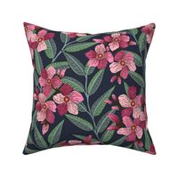 Oleander the Toxic Beauty navy blue background L scale