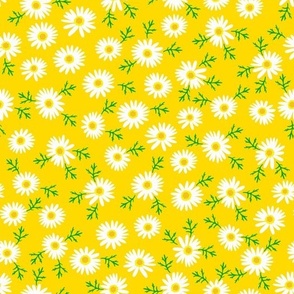 white daisy yellow background