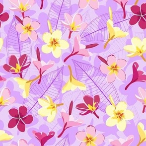 purple frangipani or plumeria. tropical floral print