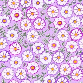 candy cosmos pattern purple