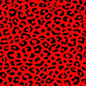 animal print leopard red