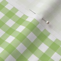 Light Green Gingham - medium small scale